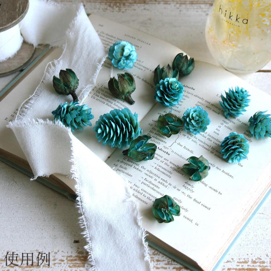 ドライフラワー 花材 即日出荷 FM木の実アソート 2種アソート(80704