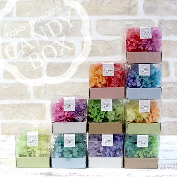 プリザーブドフラワー 花材 即日出荷 東北花材 品質は非常に良い Fmソフトアナベルキャンディbox 小分け あじさい 少量 紫陽花 アジサイ スワッグ 花びら