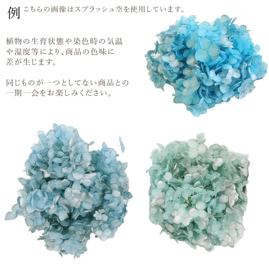 プリザーブドフラワー 花材　アジサイ　12個 プリザーブドフラワー 花材 即日出荷 FMソフトアナベル