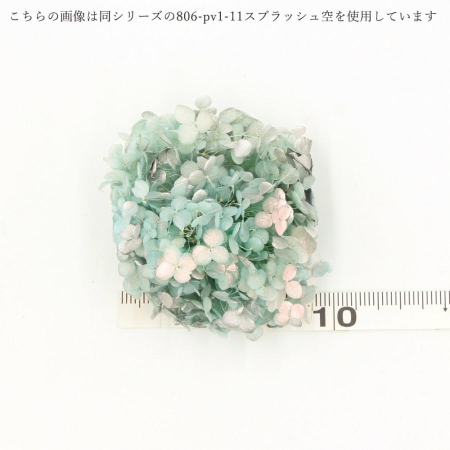 プリザーブドフラワー 花材 即日出荷 FMソフトアナベルキャンディBOX