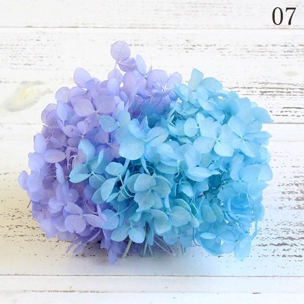 プリザーブドフラワー 花材 即日出荷 FMソフトアナベルキャンディBOX