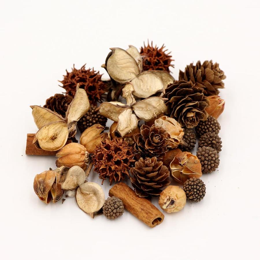 P5倍中 12/02 09:59迄】 ドライフラワー 花材 即日出荷 FM木の実