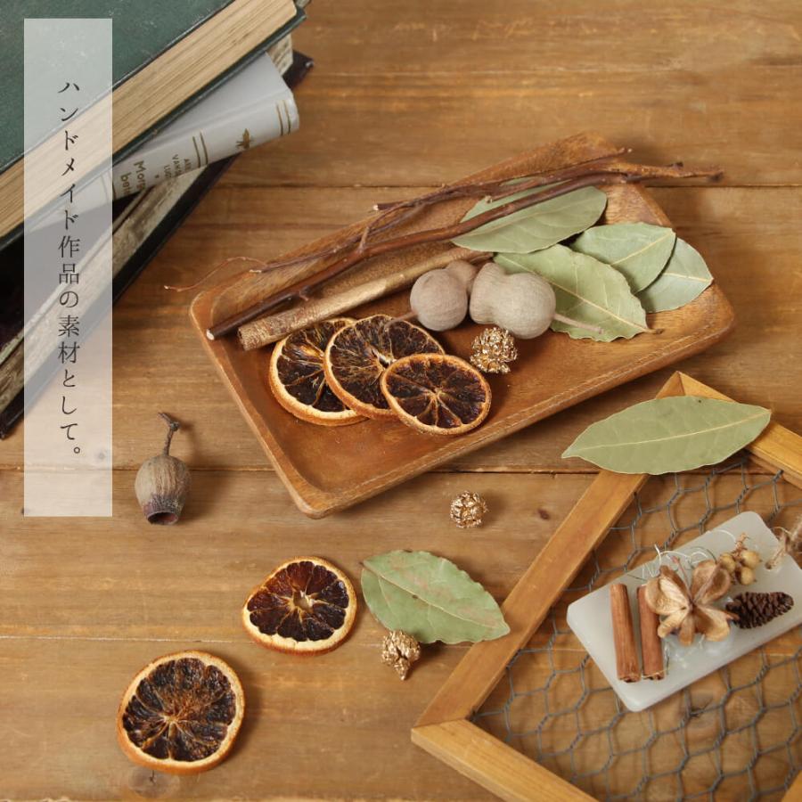 ドライフラワー 花材 即日出荷 FMシトラスアソート 素材 材料 パーツ