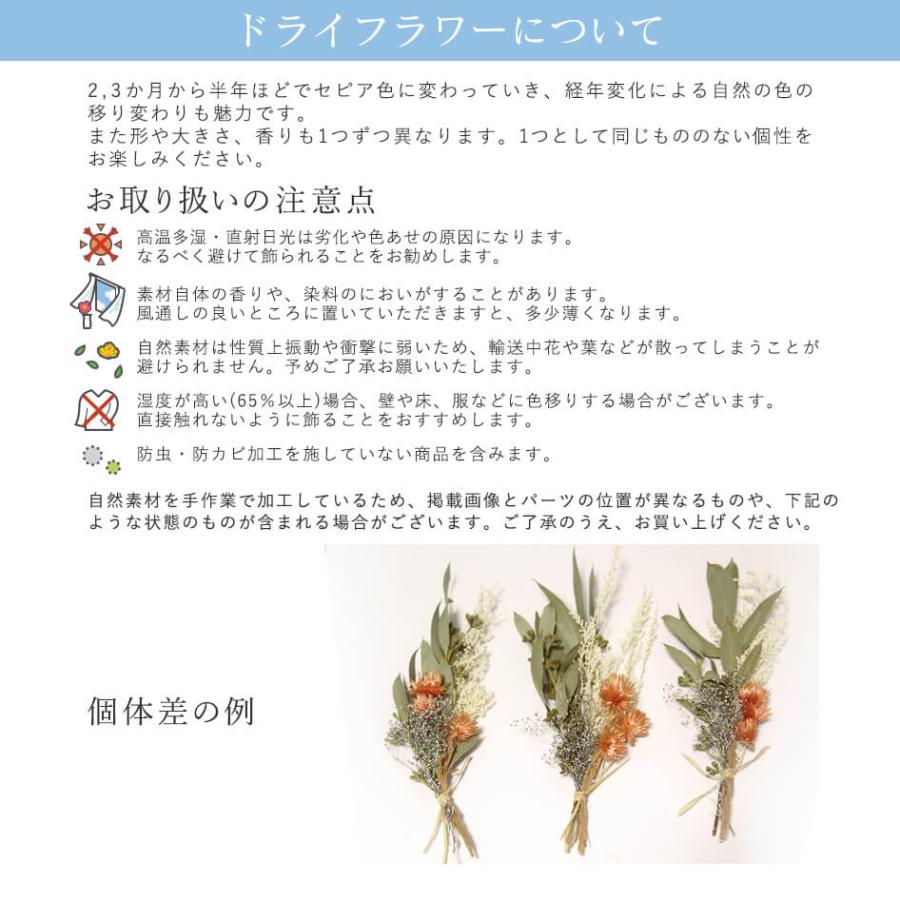 ドライフラワー 花材 即日出荷 FMシトラスアソート 素材 材料 パーツ