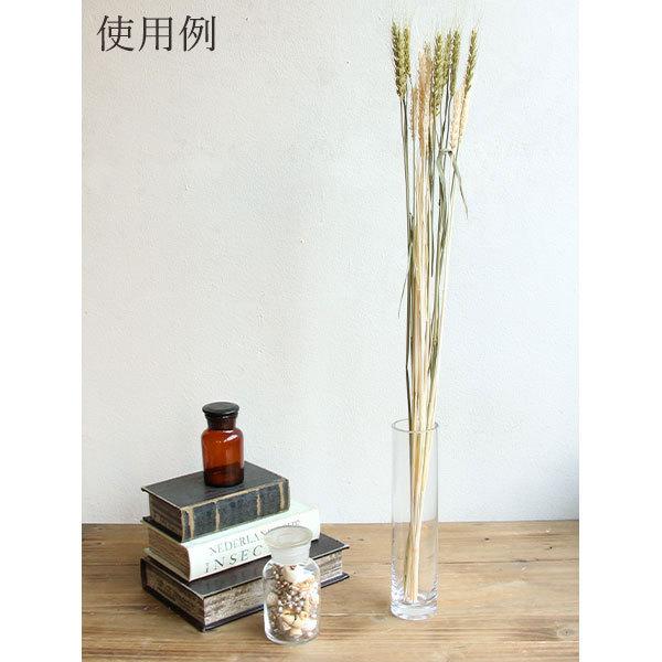 ドライフラワー 花材 即日出荷 FM小麦 ナチュラルグリーン 麦 小麦