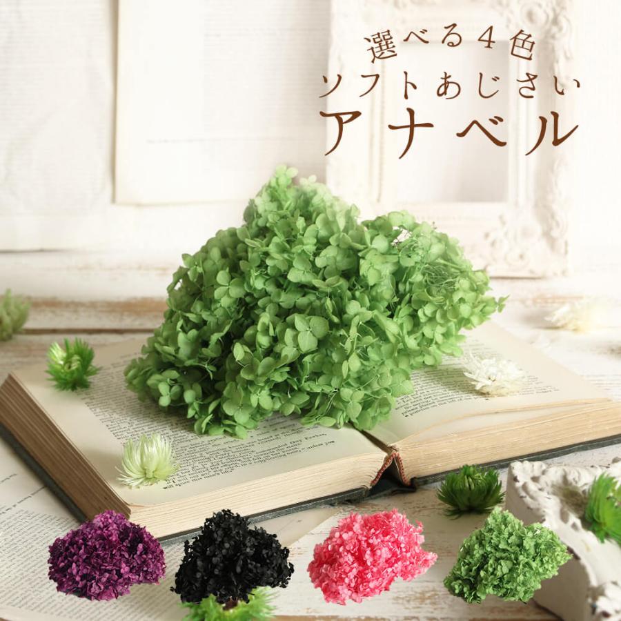 プリザーブドフラワー 花材 即日出荷 ソフトあじさいアナベル