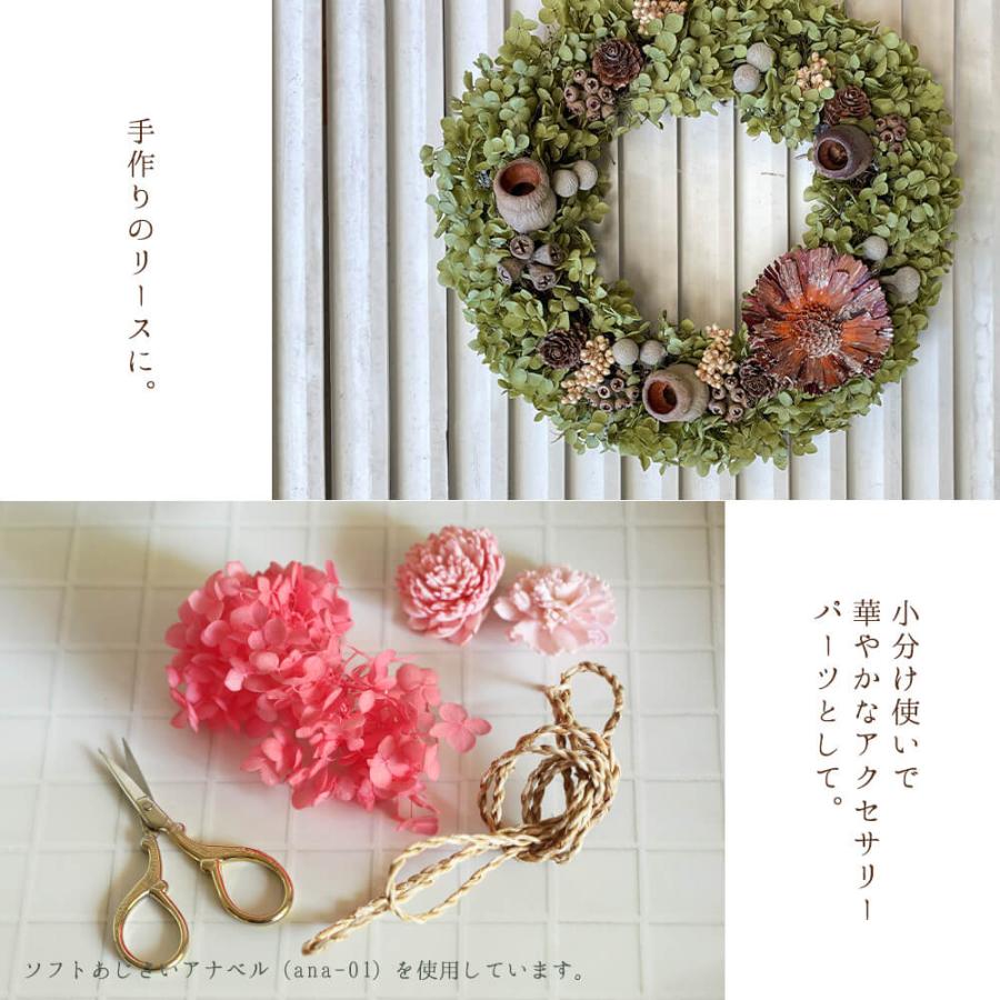 プリザーブドフラワー 花材 即日出荷 ソフトあじさいアナベル プリザーブドフラワー 花材 即日出荷 ソフトあじさいアナベル