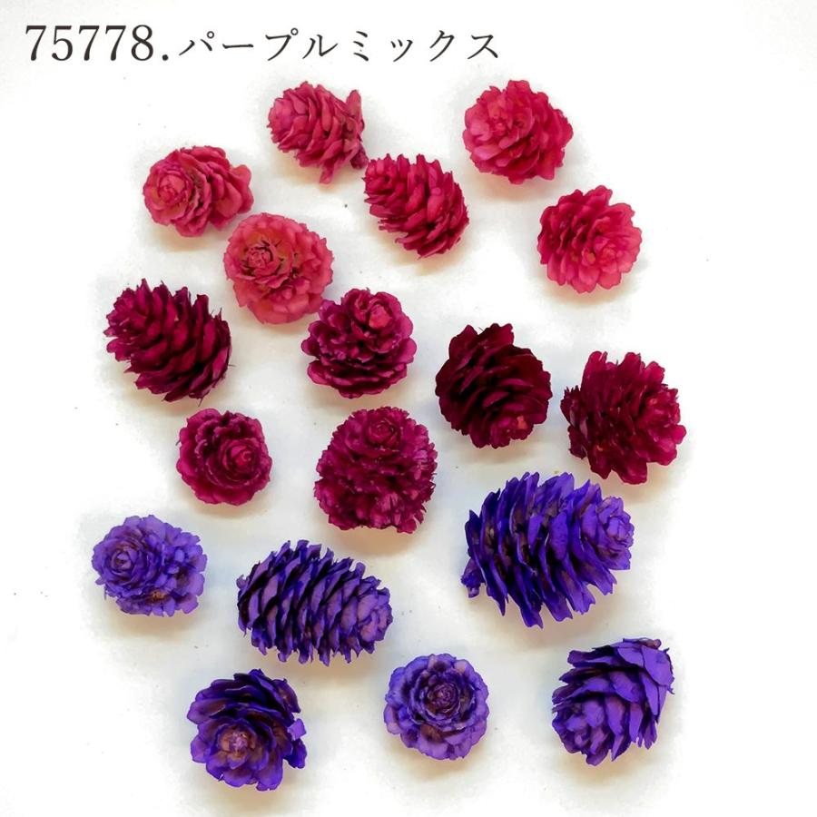 ドライフラワー 花材 即日出荷 カラマツ カラ松 素材 材料 パーツ