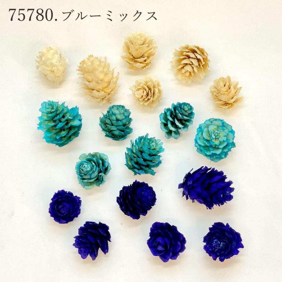 ドライフラワー 花材 即日出荷 カラマツ カラ松 素材 材料 パーツ