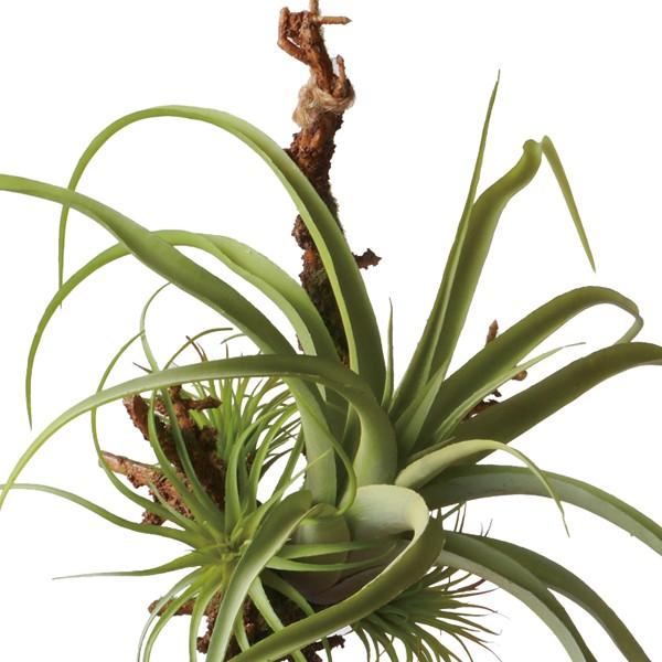 造花 グリーン 多肉植物 とりよせ品 Viva エアプランツハンギング Ctype Viv Vdg 5313 造花ドライフラワー専門問屋花びし 通販 Yahoo ショッピング