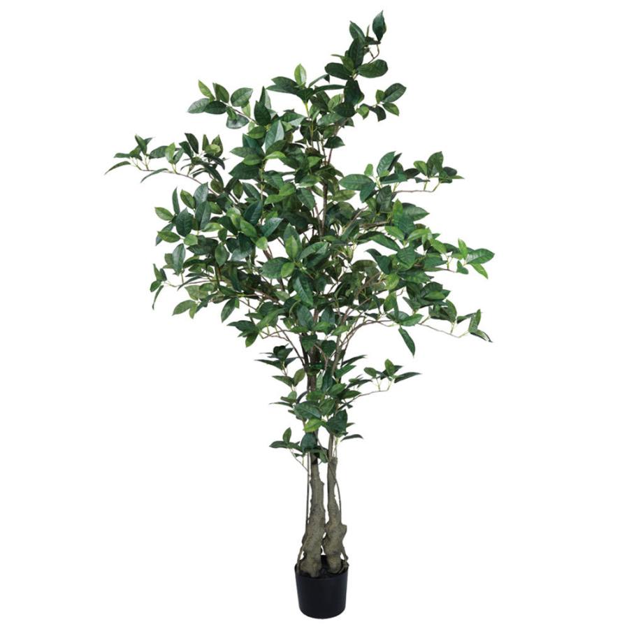 フェイクグリーン 観葉植物 とりよせ品 オスマンサスツリー150cm 観葉植物 1.5m おしゃれ 人工観葉 インテリア インテリアフラワー 店舗装飾 春 ビバ工芸