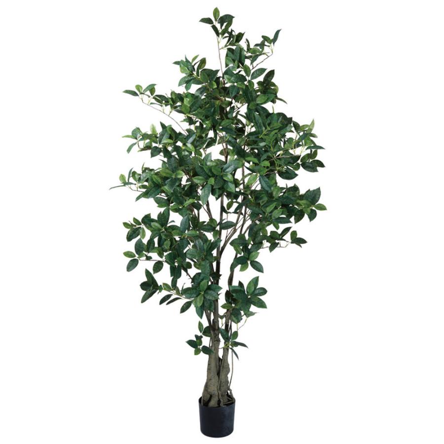 長さ約60cm・ホワイト＆少しゴールドのロングswag LLふっくらタイプ 約