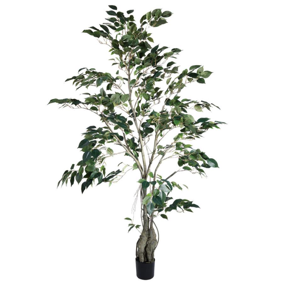 フェイクグリーン 観葉植物 とりよせ品 クラシックフィカス150cm 観葉植物 1.5m おしゃれ ファイカス 人工観葉 インテリア インテリアフラワー ビバ工芸