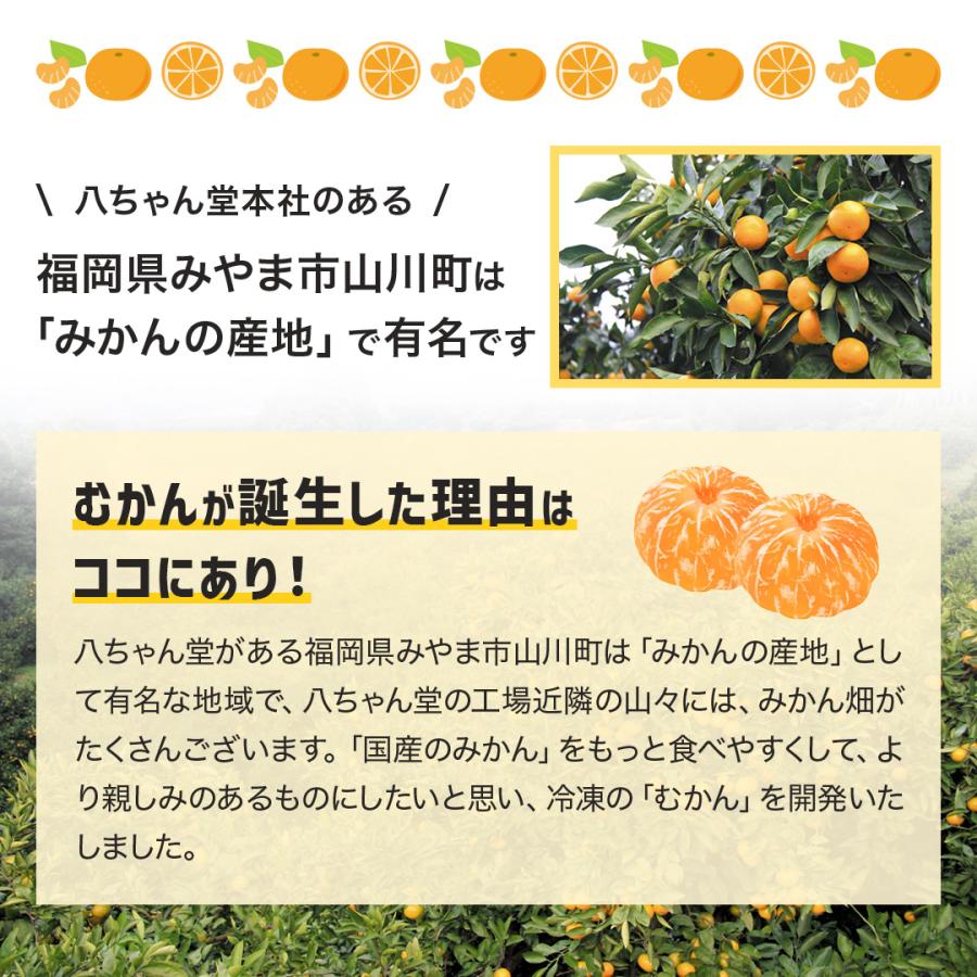 八ちゃん堂 訳アリ むかん 1kg 送料無料 冷凍みかん みかん 冷凍