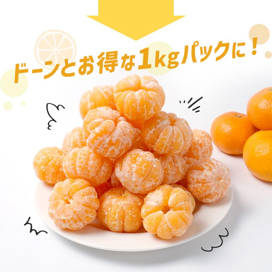 八ちゃん堂 訳アリ むかん 1kg 冷凍みかん みかん 冷凍フルーツ 冷凍