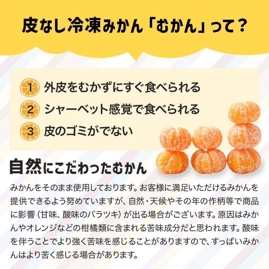 訳アリ 皮むき【 わけありむかん 3kg 】 ( 1kg × 3袋 ) 送料無料 冷凍みかん グルメ大賞 みかん 冷凍フルーツ 国産 給食 訳あり わけあり｜y-hatchando｜08