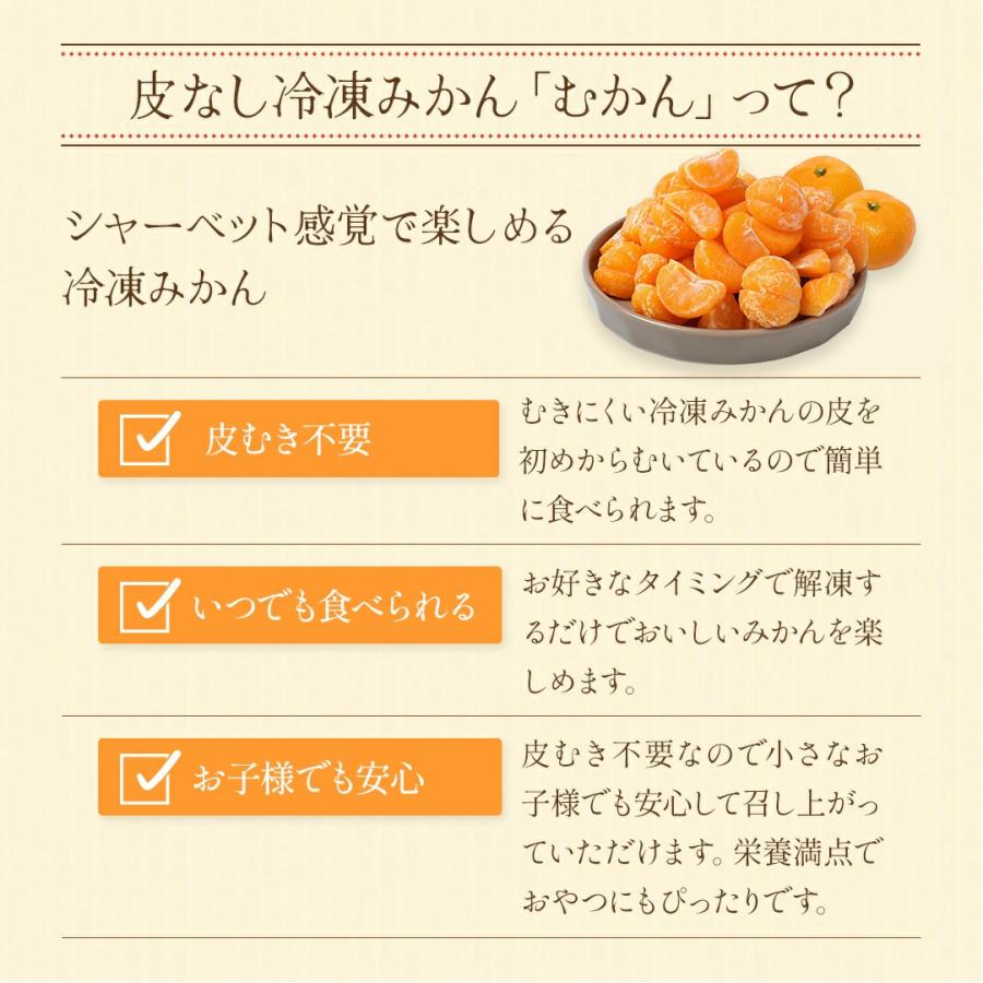 八ちゃん堂 ひとくち むかん 500g 冷凍みかん むかん 冷凍フルーツ