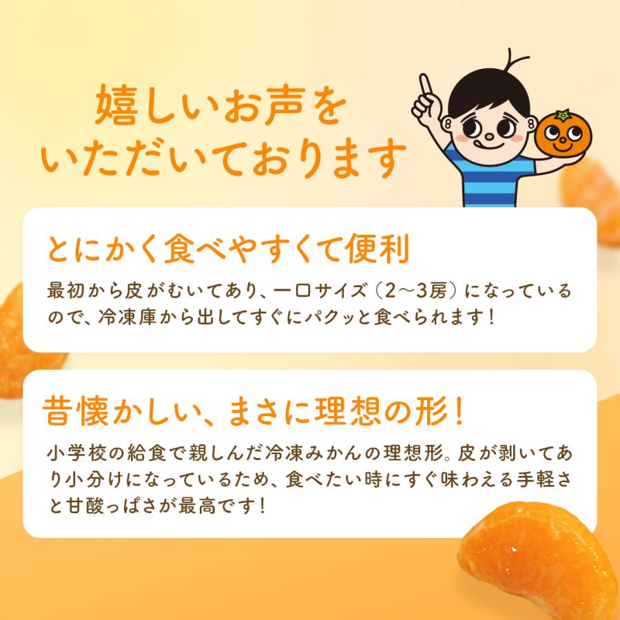 ひとくち むかん 500ｇ 冷凍みかん むかん 冷凍フルーツ 国産 デザート フルーツ 皮なし 冷凍 お試し 送料別 1sina お歳暮 | 八ちゃん堂 | 03