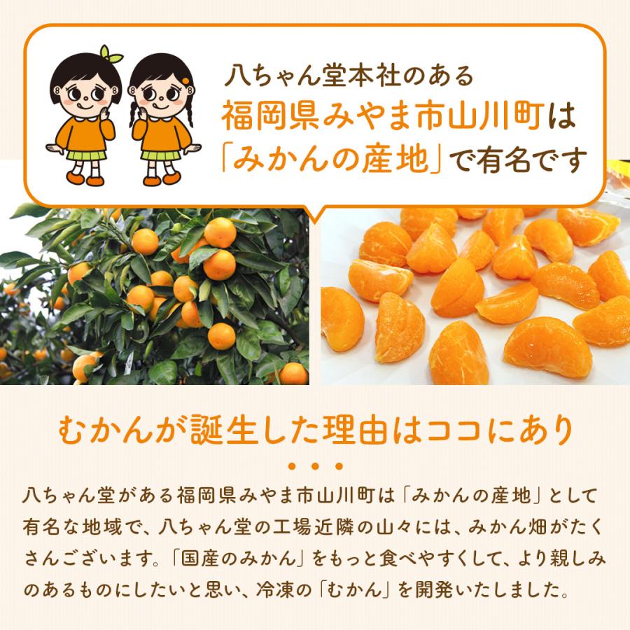 八ちゃん堂 100円OFFクーポン※8/10(月)12時迄 ひとくち むかん 500g