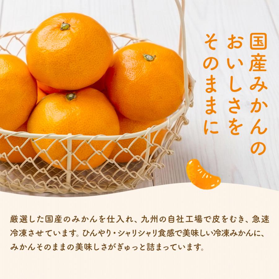 八ちゃん堂 ひとくちむかん 1kg ( 500g × 2袋 ) 送料無料 冷凍みかん