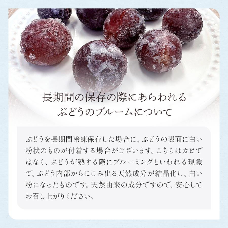 八ちゃん堂 冷凍 【 種なし 巨峰 1.2kg(400g×3袋) 】 ブドウ 八ちゃん堂 冷凍 【 種なし 巨峰 1.2kg(400g×3袋) 】 ブドウ