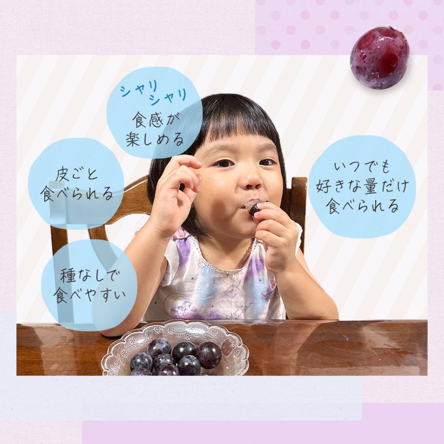 油絵　（葡萄）ぶどう　ブドウ　巨峰　シリーズ3 楽天市場】【ポイント5倍】 ぶどう 巨峰 種あり 3kg ( 5房 ～ 9房