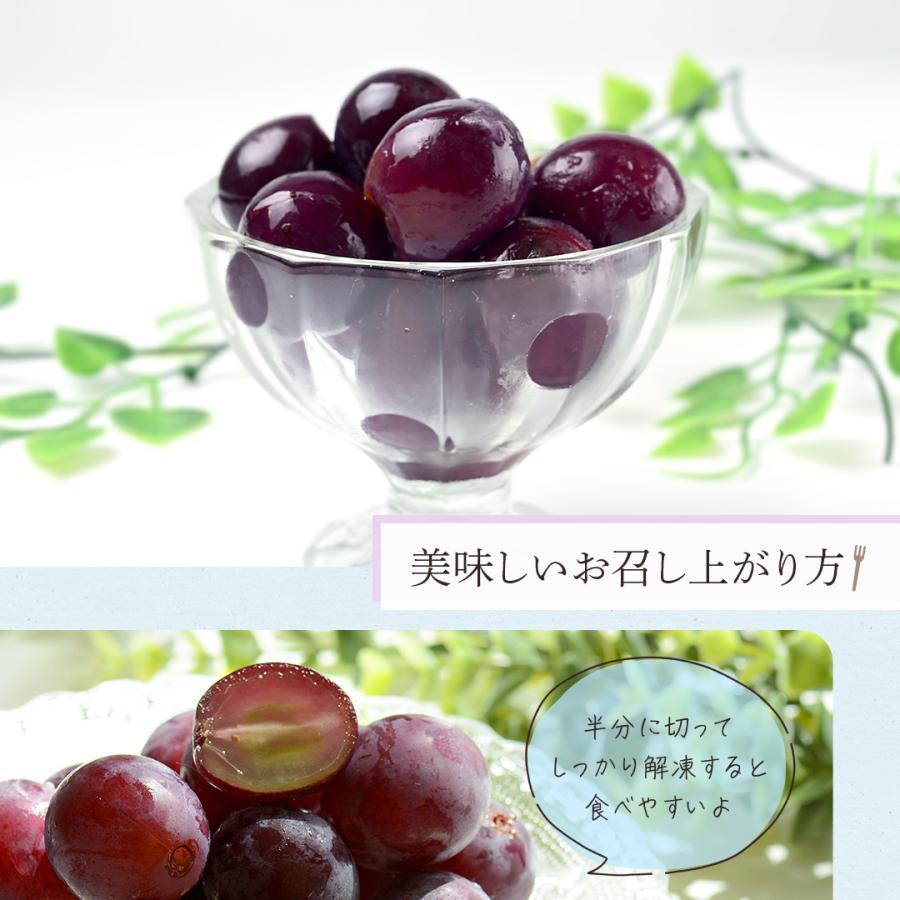 八ちゃん堂 冷凍 【 巨峰 1.2kg(400g×3袋) 】 送料無料 ブドウ ぶどう