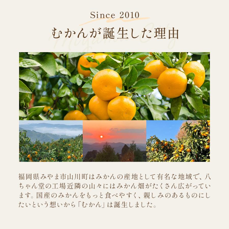 八ちゃん堂 【ギフト対応】 むかんセット 送料無料 冷凍みかん 冷凍