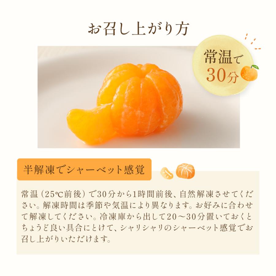 八ちゃん堂 【ギフト対応】 むかんセット 送料無料 冷凍みかん 冷凍