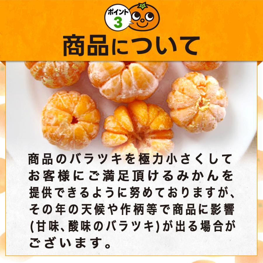 八ちゃん堂 ＼たっぷり1.5kg／ わけありむかん 500g×3袋セット 送料
