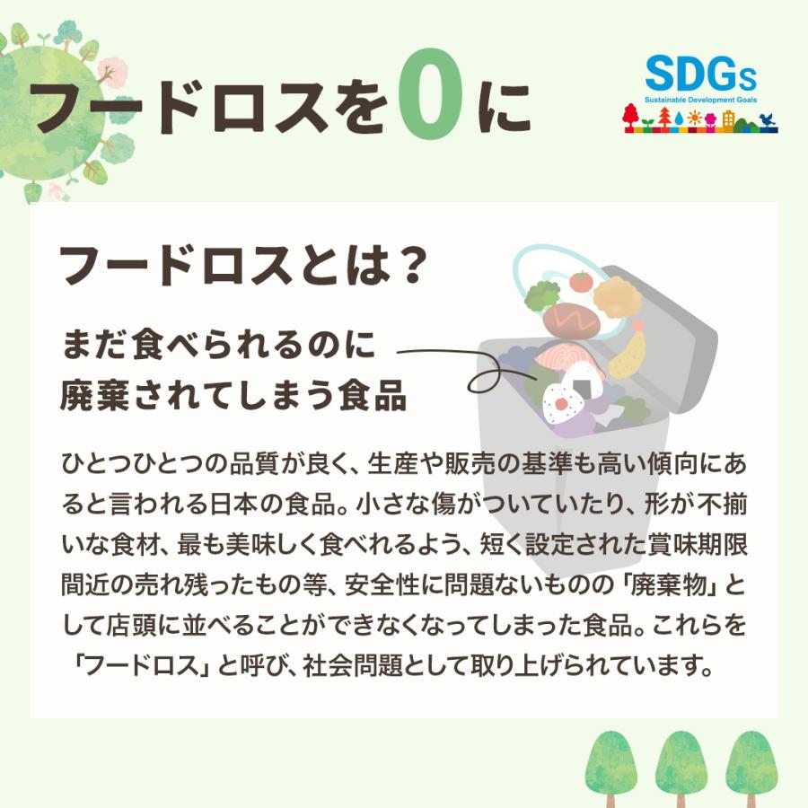 24時間限定企画 八ちゃん堂 八ちゃん堂お楽しみセット  送料無料 訳あり 訳アリ 食品ロス フードロス 冷凍 食品 冷凍食品 福袋 業務用 大容量 お徳用｜y-hatchando｜07