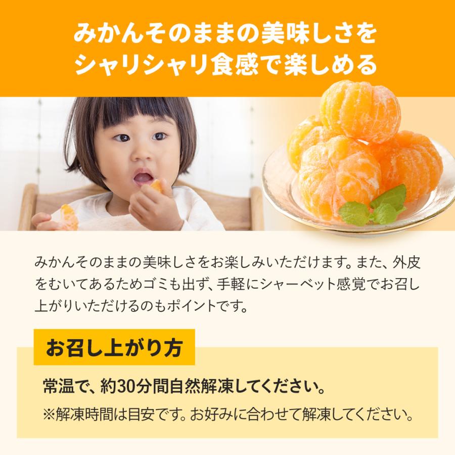 八ちゃん堂 冷凍フルーツセットDX 5種セット 3.4kg 送料無料 みかん