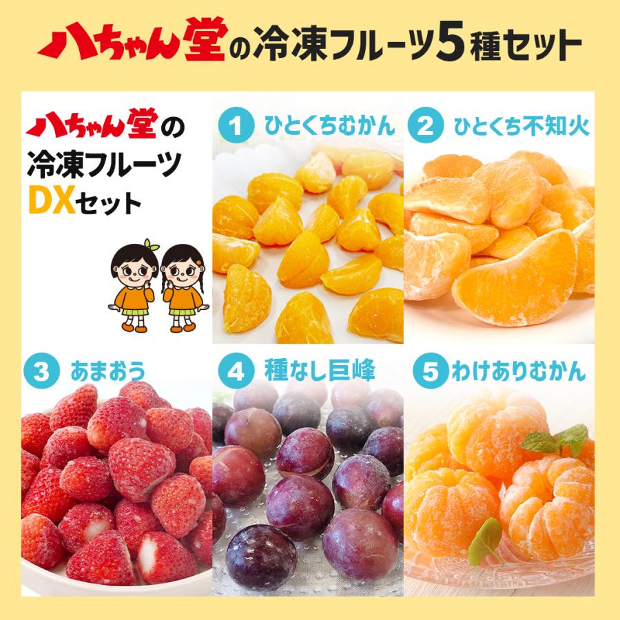八ちゃん堂 冷凍フルーツセットDX 5種セット 3.4kg みかん 不知火