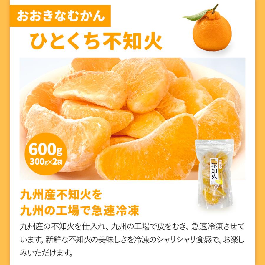 八ちゃん堂 冷凍フルーツセットDX 5種セット 3.4kg みかん 不知火