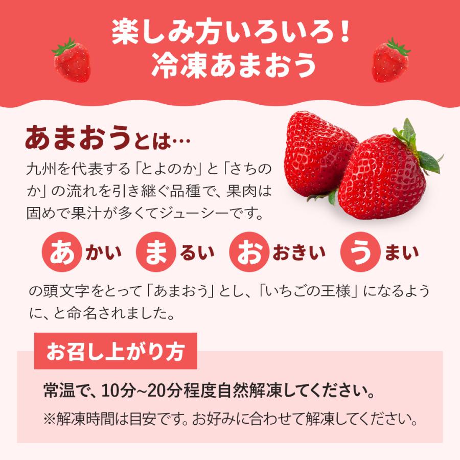 単品合計3,900円+送料→3,980円  送料無料 メガ盛り 1.2kg 冷凍  【 八ちゃん堂 お試し フルーツ セット  】 あまおう むかん ひとくち 冷凍みかん など 合計3種｜y-hatchando｜12