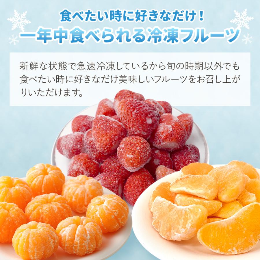 八ちゃん堂 送料無料 冷凍フルーツ3種 1.2kg 冷凍 【 八ちゃん堂 お