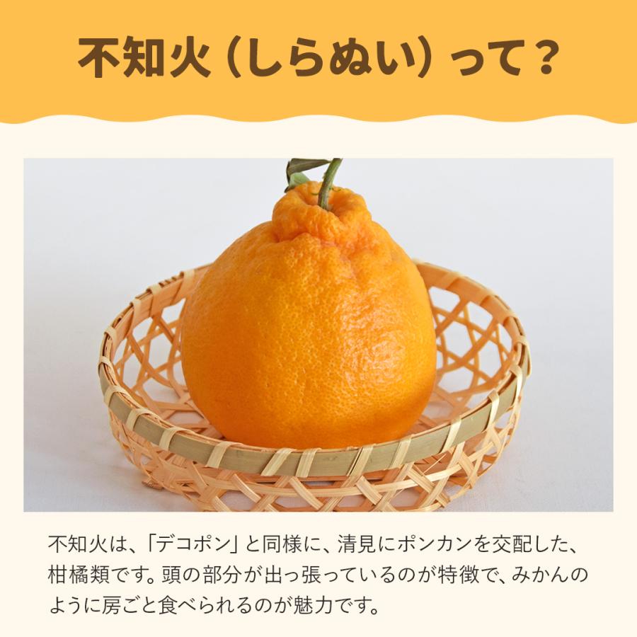 八ちゃん堂 送料無料 冷凍フルーツ3種 1.2kg 冷凍 【 八ちゃん堂 お