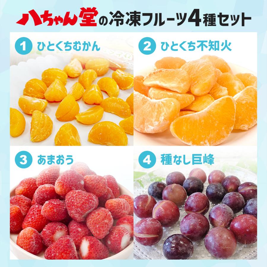 八ちゃん堂 【 八ちゃん堂 フルーツ4種セット 】 1.6kg 冷凍 送料無料