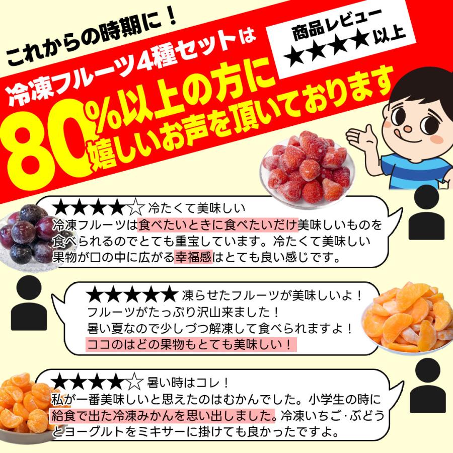 八ちゃん堂 ＼累計販売量1.2t突破／【 八ちゃん堂 フルーツ4種セット