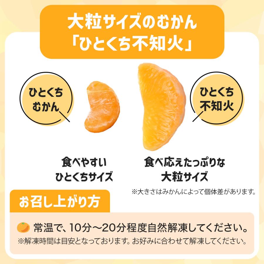 八ちゃん堂 クーポンで6,700円OFF※5/26(火)12時迄 ＼累計販売量1.2t