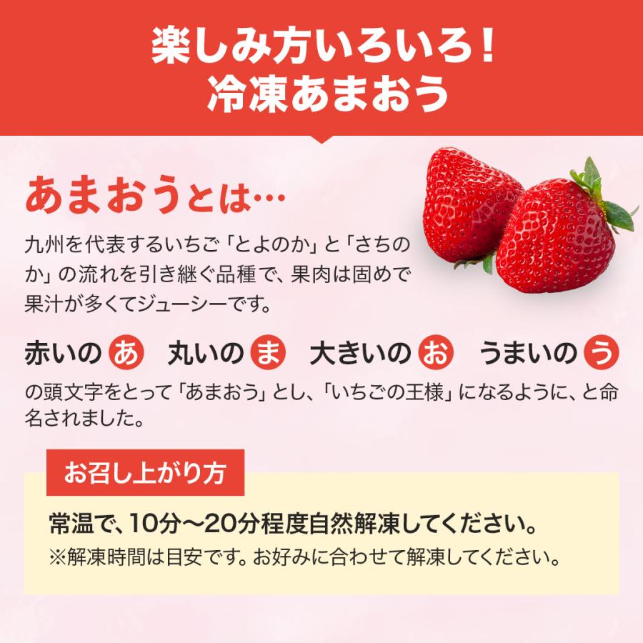 八ちゃん堂 単品合計価格24,800円→9,980円 【 冷凍フルーツ セット