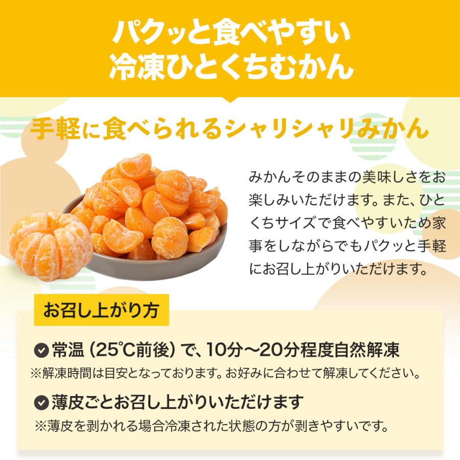 八ちゃん堂 単品合計価格24,800円→9,980円 【 冷凍フルーツ