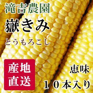 嶽きみ 青森特産とうもろこし だけきみ10本入 滝吉農園 Segurosaurora Com