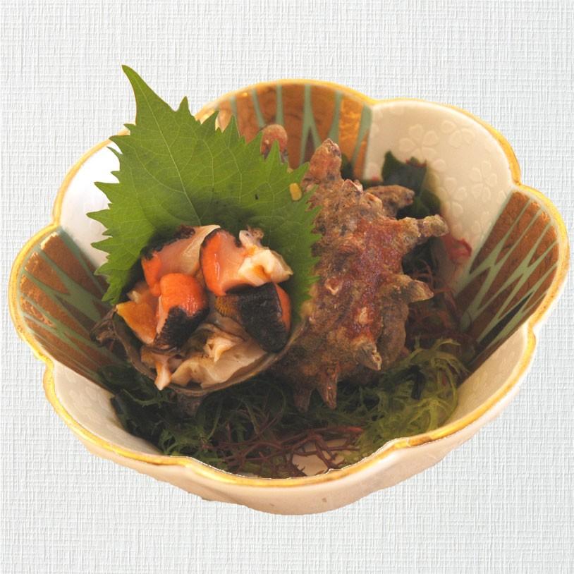 長崎産お刺身サザエ 15粒 さざえ 調理済み お刺身 つぼ焼き 長崎産お刺身サザエ 15粒 さざえ 調理済み お刺身 つぼ焼き