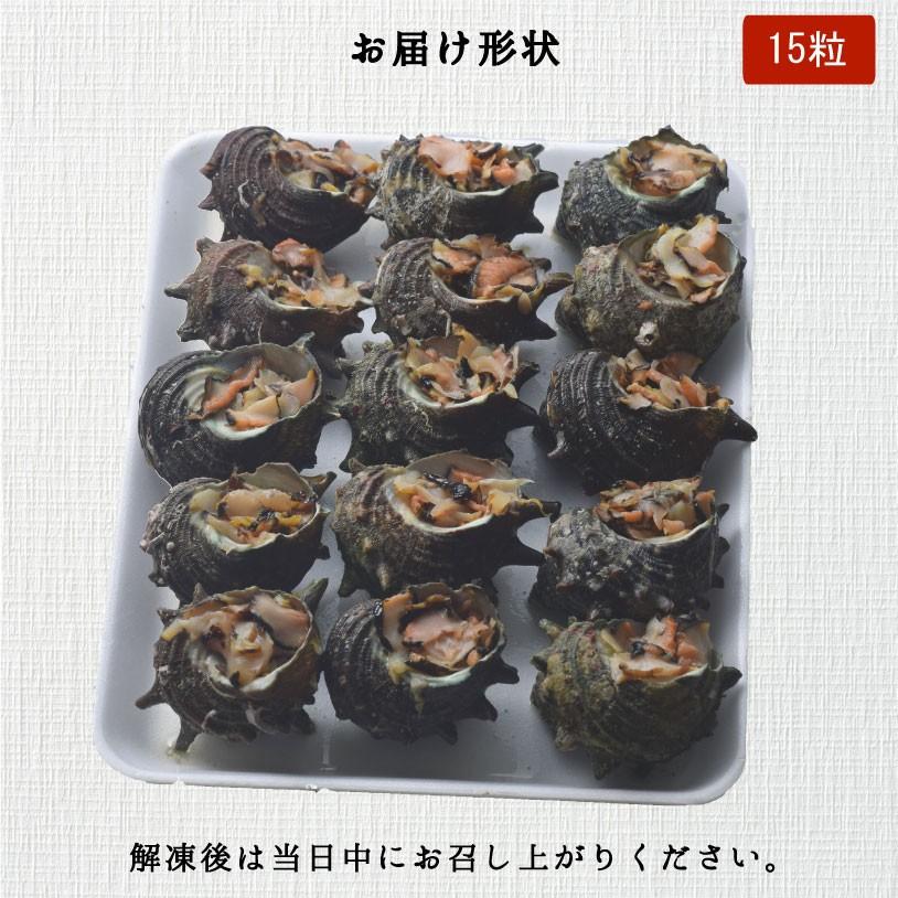 長崎産お刺身サザエ 15粒 さざえ 調理済み お刺身 つぼ焼き 長崎産お刺身サザエ 15粒 さざえ 調理済み お刺身 つぼ焼き