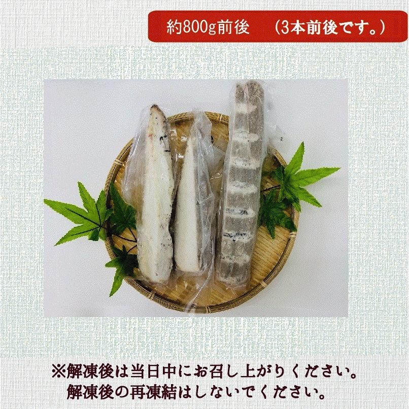 送料無料】炙りびんちょう鮪 約800g前後 びんちょう まぐろ 国内加工