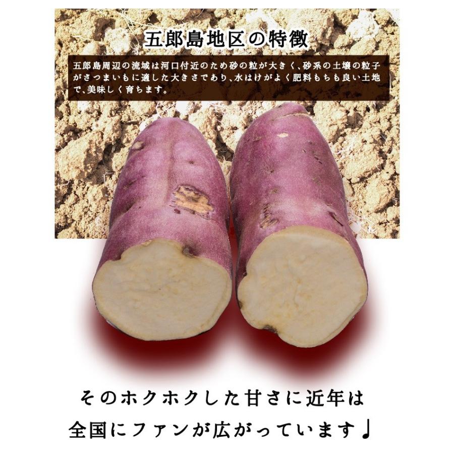 さつまいも 五郎島金時 Mサイズ 3kg サツマイモ さつま芋 加賀