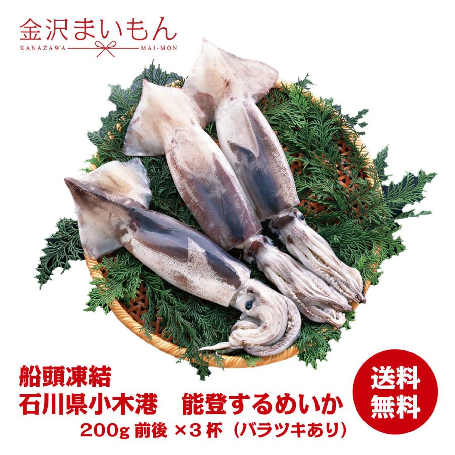 【新商品】お刺身可　能登するめいか！約600g（約180〜200g前後×3）石川県能登産【大特価セール】｜y-kanazawamaimon