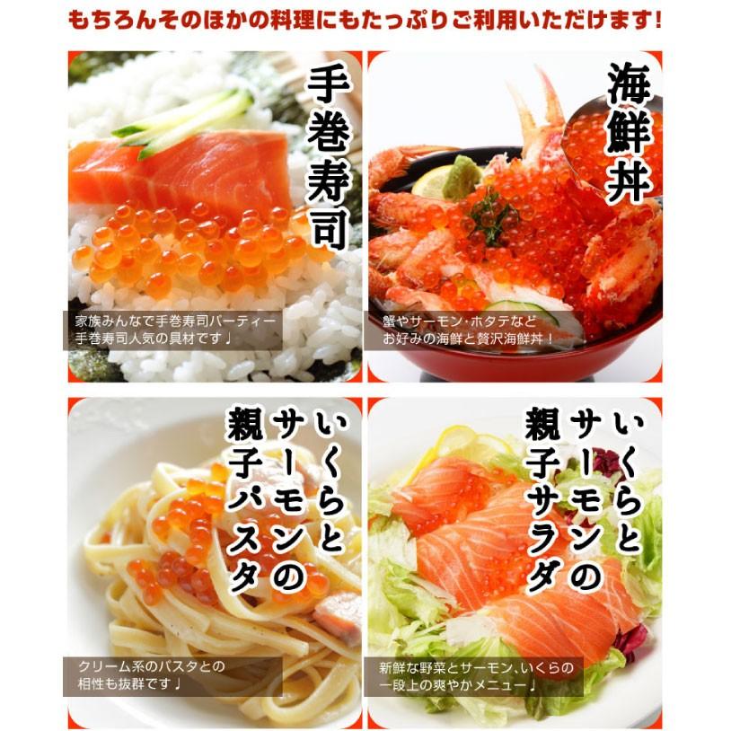 ますいくら醤油漬！ 500g北海道加工 いくら イクラ 鱒 魚卵 あすつく対応 送料無料 【金沢まいもん寿司】 :ikura-500:金沢まいもん  ヤフー店 - 通販 - Yahoo!ショッピング