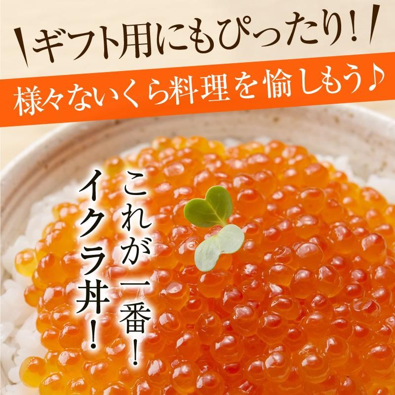 【2025年新物】マ印 塩いくら 500g いくら イクラ 送料無料 標津産 北海道産 神内商店 金沢まいもん寿司【お中元】【父の日ギフト】の画像